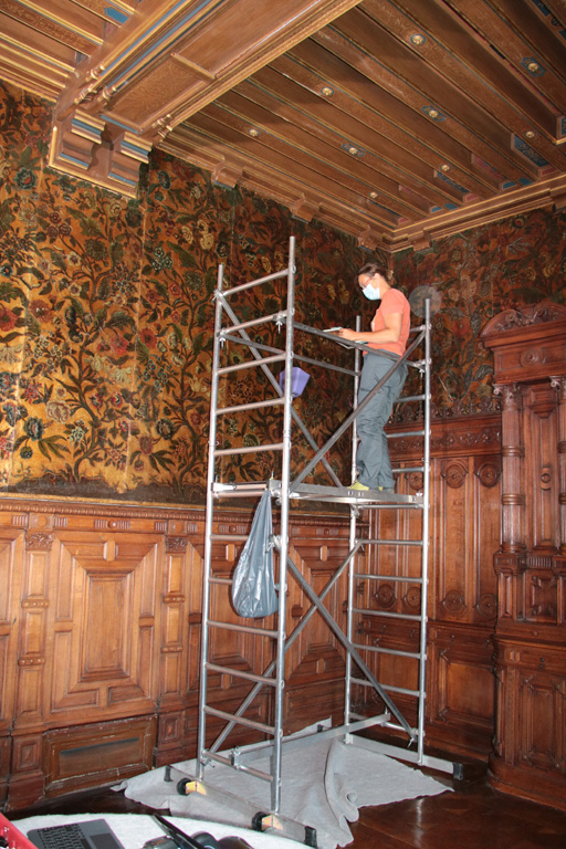 Layout of a gilt leather decoration for a condition report (Château de Maintenon, dining room). © C.Bonnot-Diconne 2021